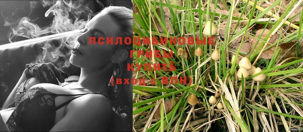 марихуана Абаза