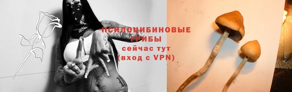 марихуана Абаза